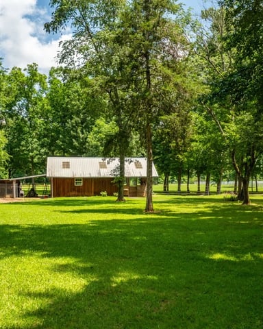 Sunlit green lawn shaded by tall trees, with a metal-roofed wooden barn and a white house beyond