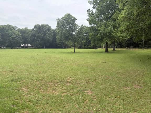 Just West of Little Rock Retreat - Image 3
